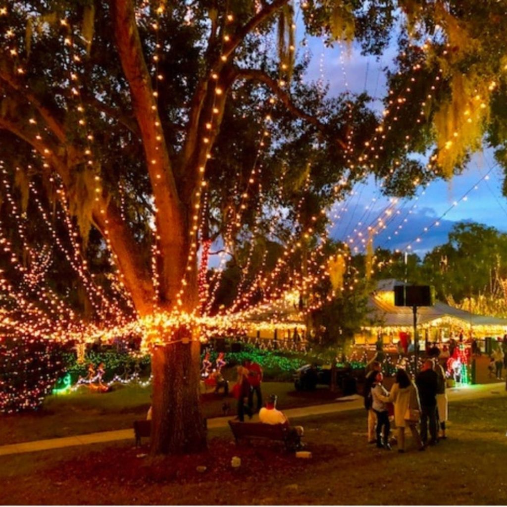 Best Christmas Lights in Florida Neo Blog