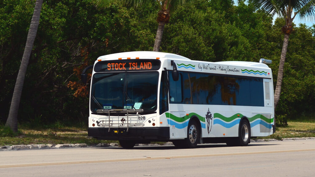 florida public transportation: bus