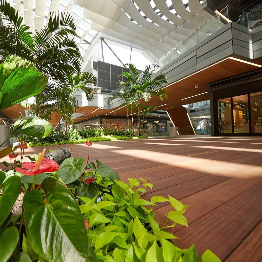Plants inside the Brickell City Centre in Miami